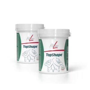 FitLine TopShape maisto papildas svorio kontrolei (2 mėn. kursas)