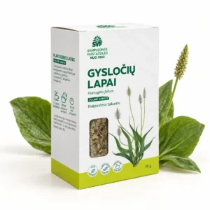 Gysločių lapų arbata kvėpavimo takams, 50 g